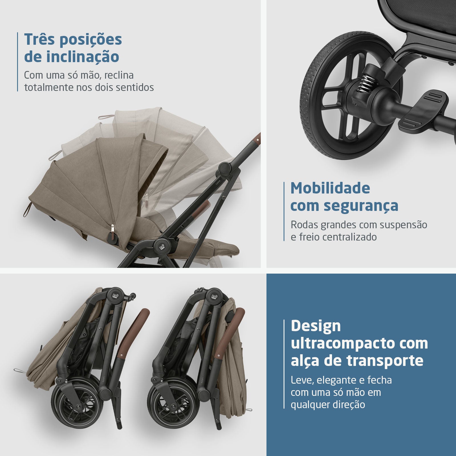 Twillic Truffle - IMP02716