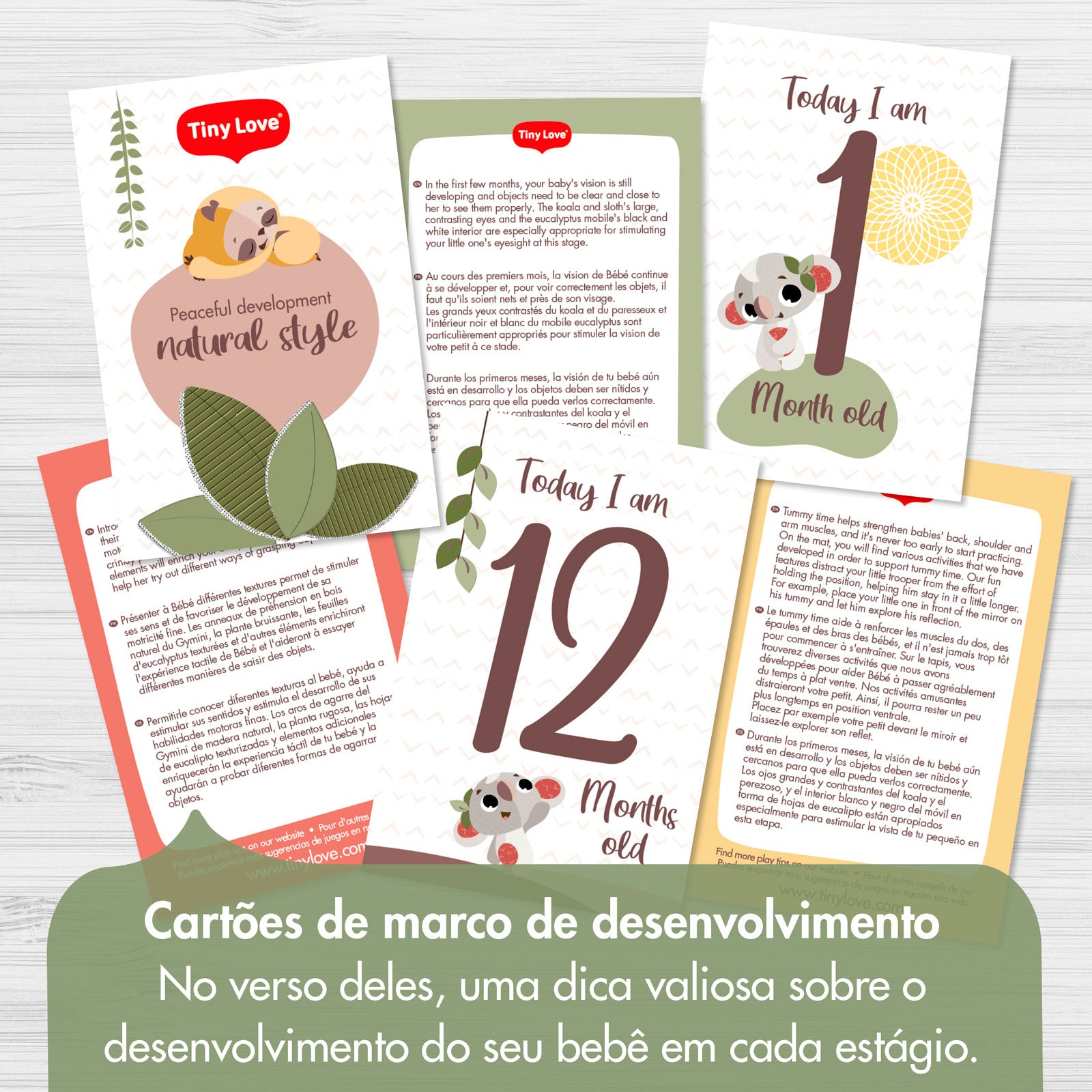 Boho Chic - IMP02265