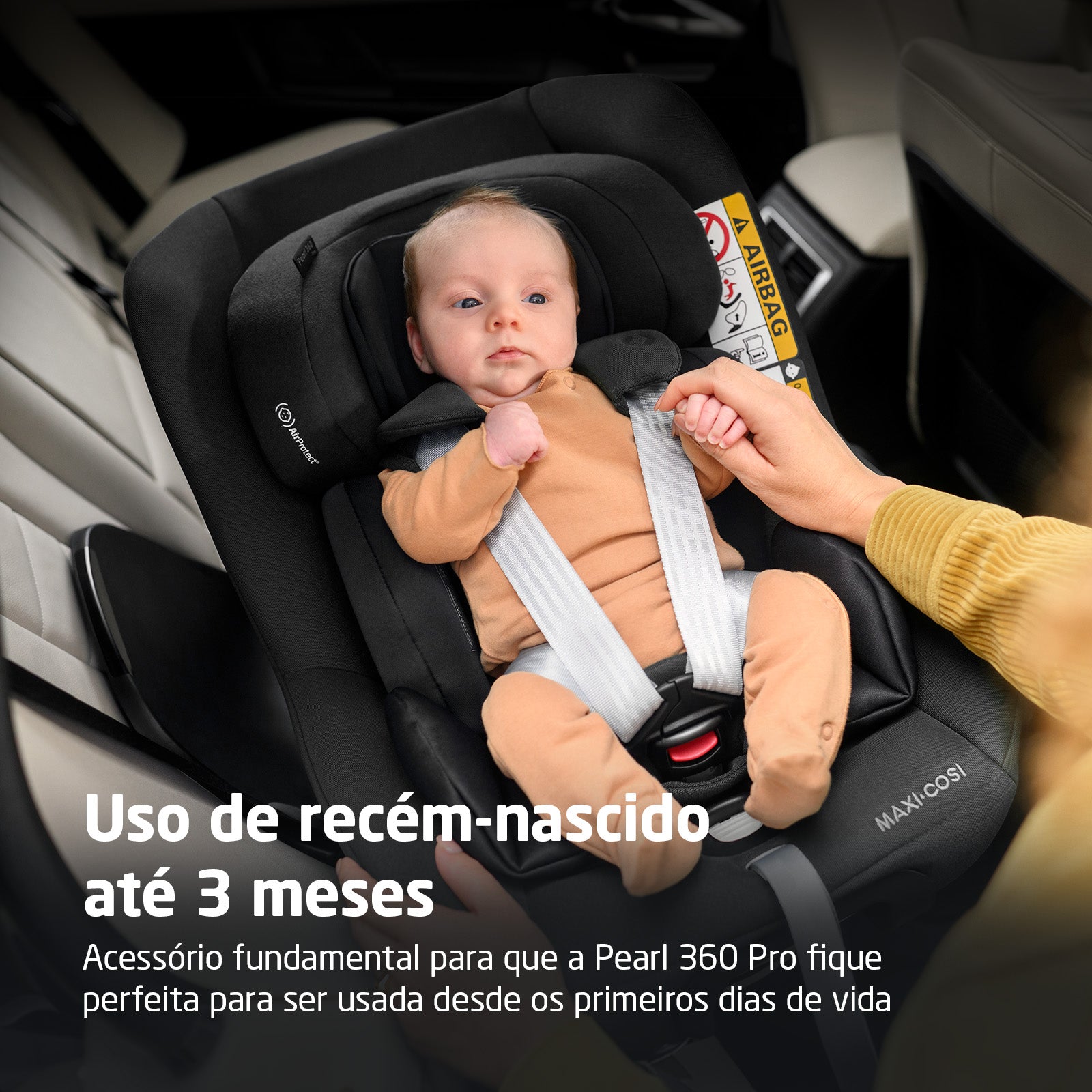 Authentic Black - IMP02627