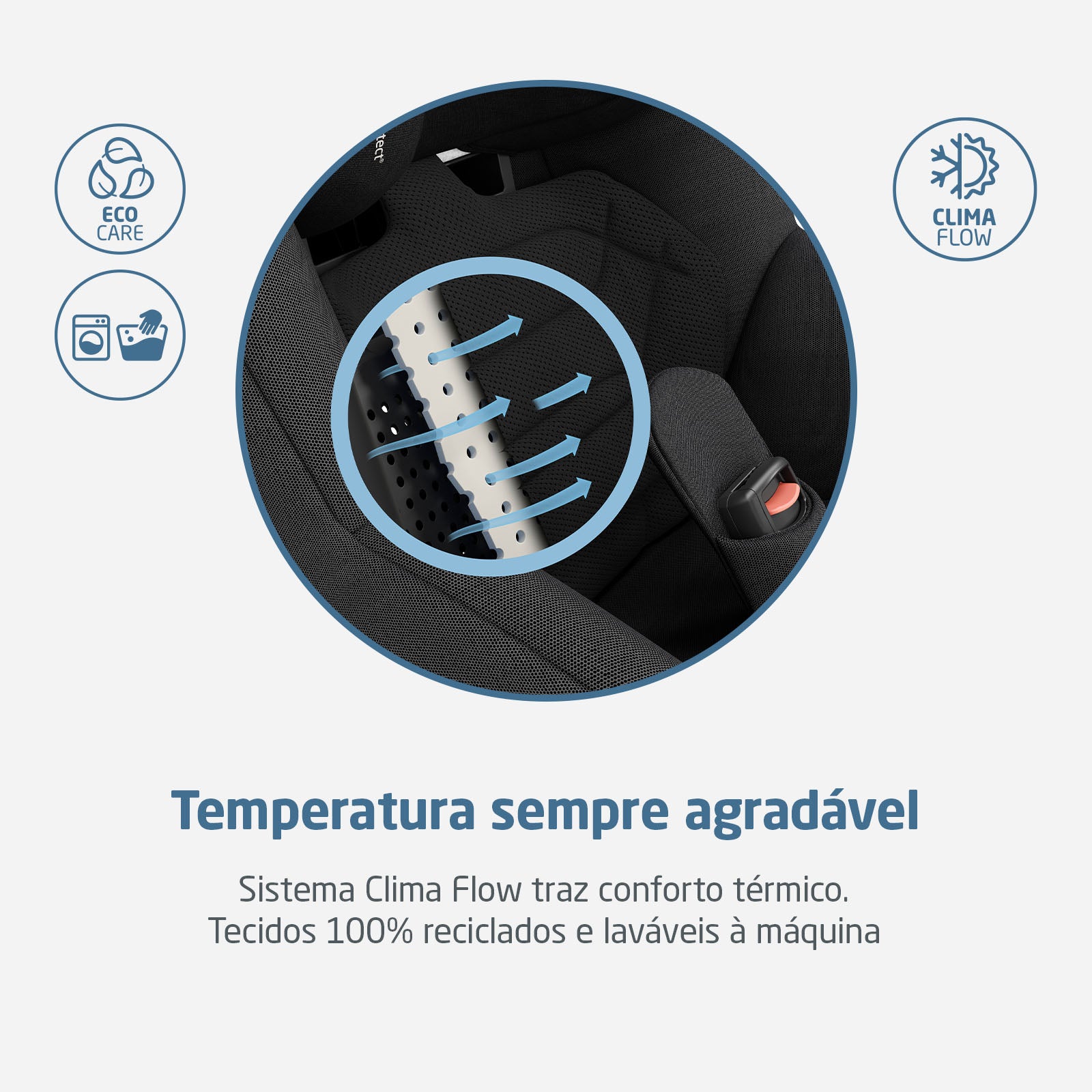 Authentic Black - IMP02505