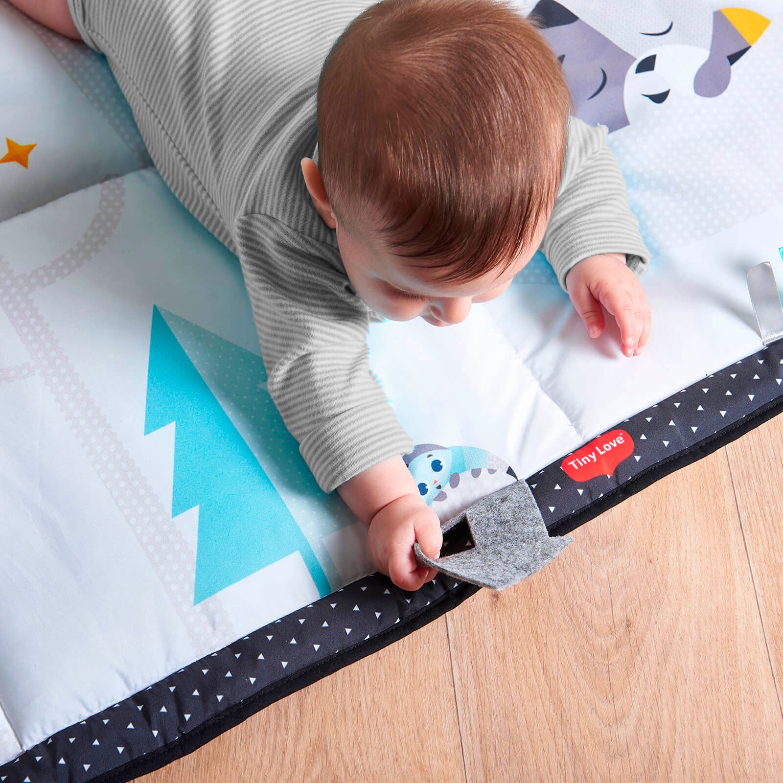 Magical Tales - IMP01572