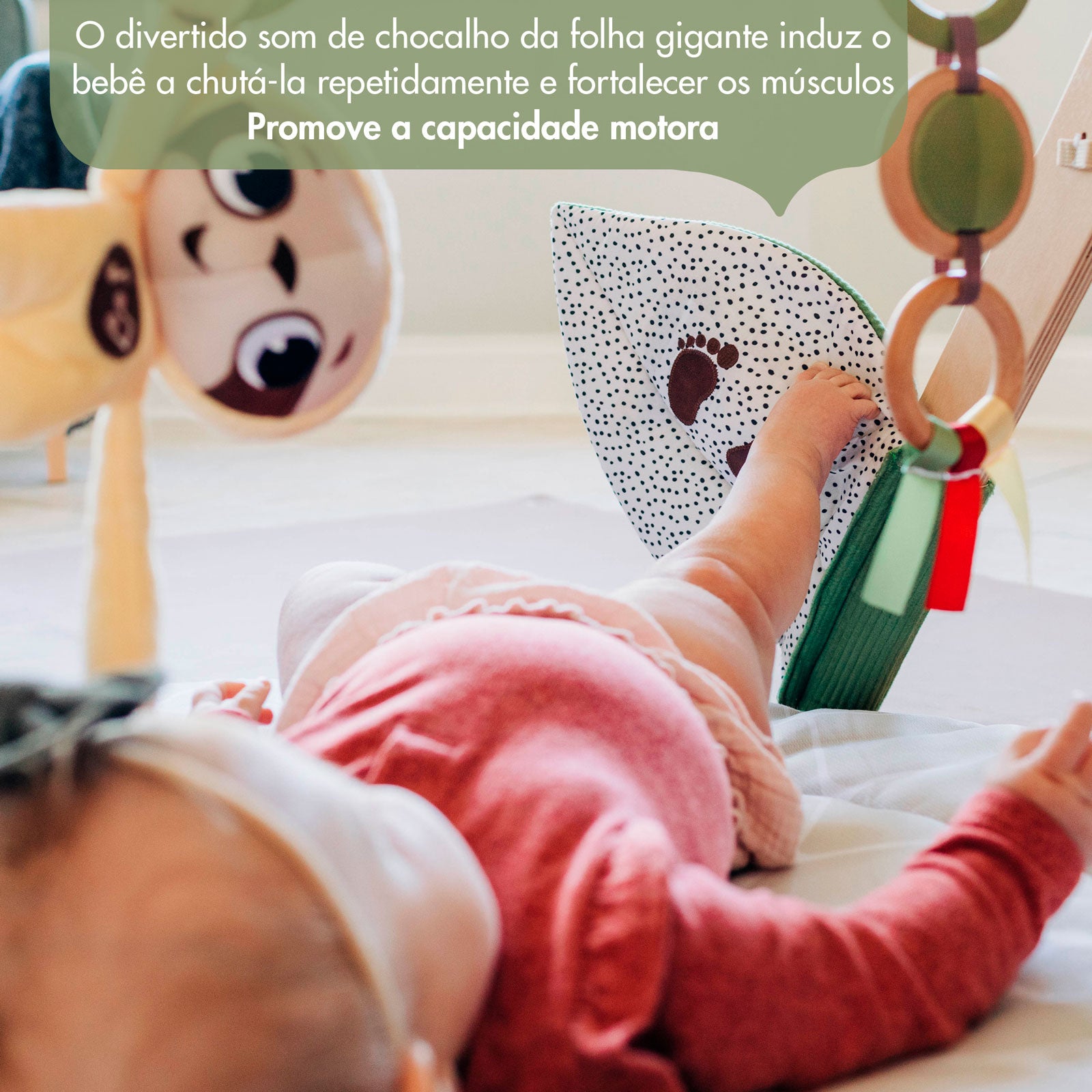 Boho Chic - IMP02265