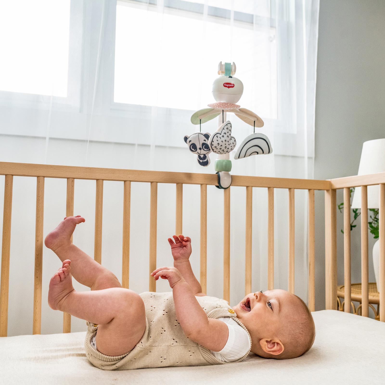 Black & White Decor - IMP02481