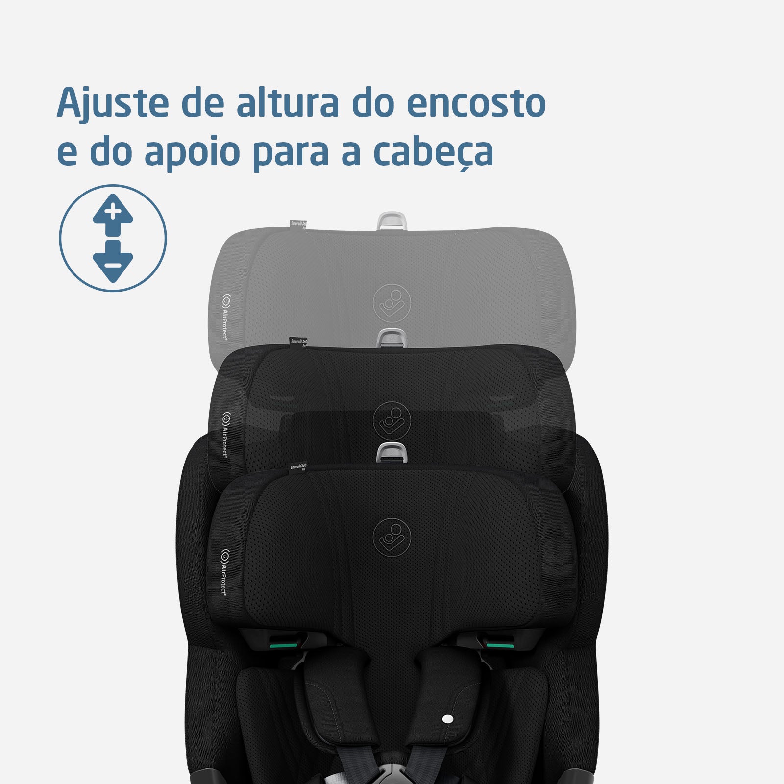 Authentic Black - IMP02655