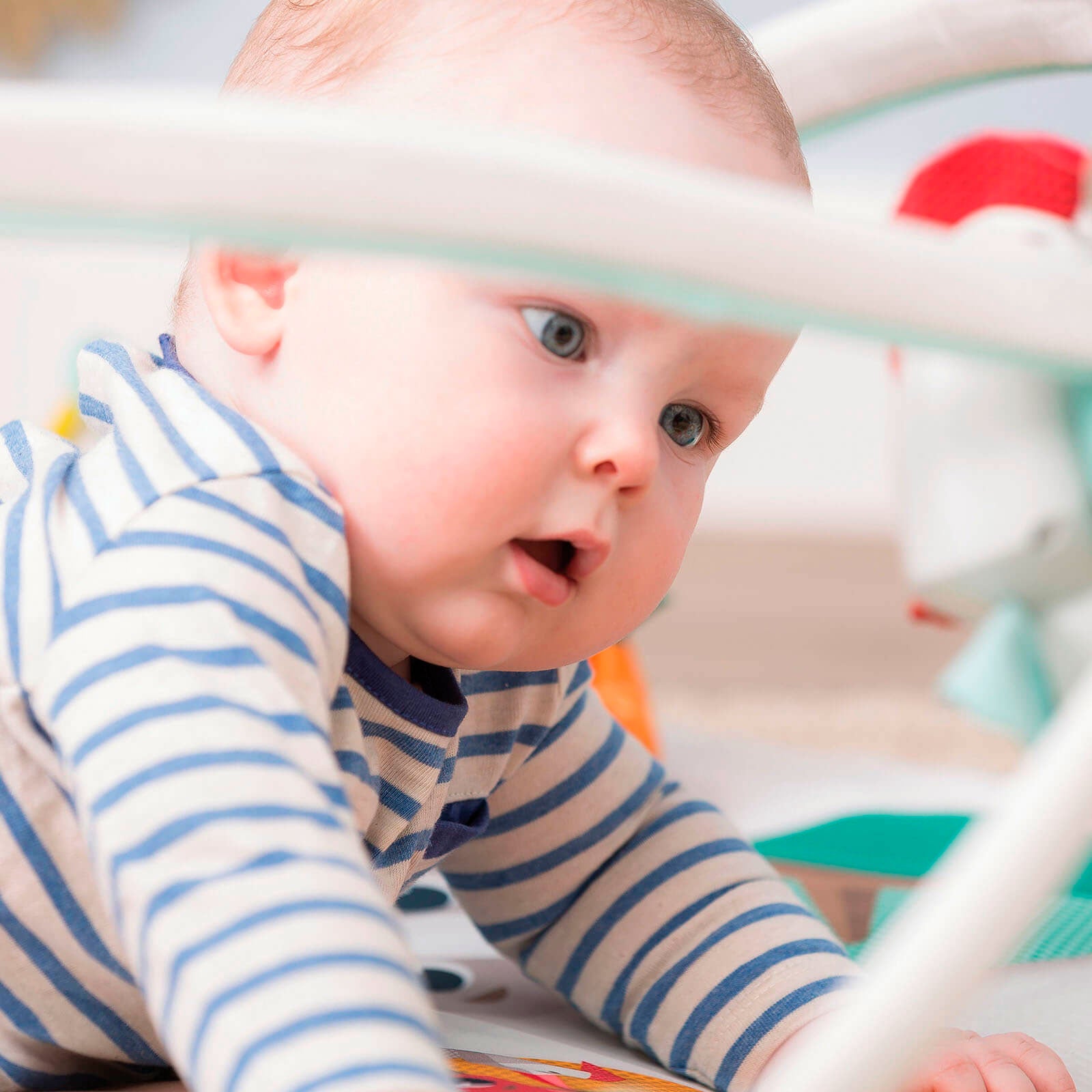 Into The Forest - IMP01564