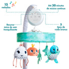 Treasure the Ocean - IMP02278