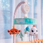 Treasure the Ocean - IMP02278