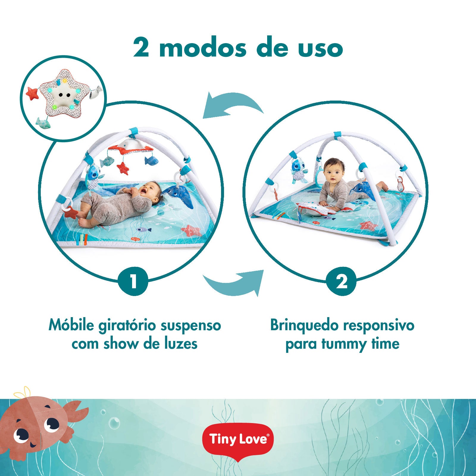 Treasure the Ocean - IMP02345