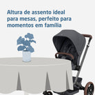 Twillic Graphite - IMP02641