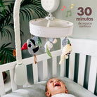 Boho Chic - IMP02266