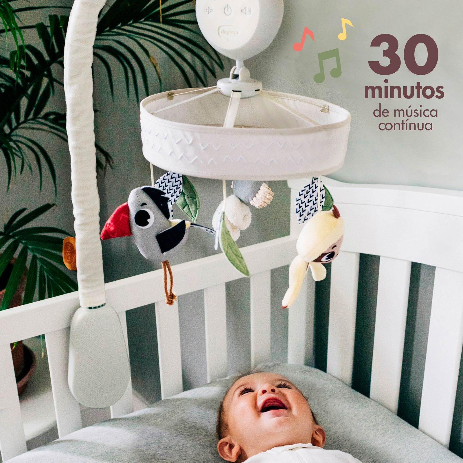 Boho Chic - IMP02266