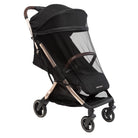 Essential Black Champagne - CAX01069