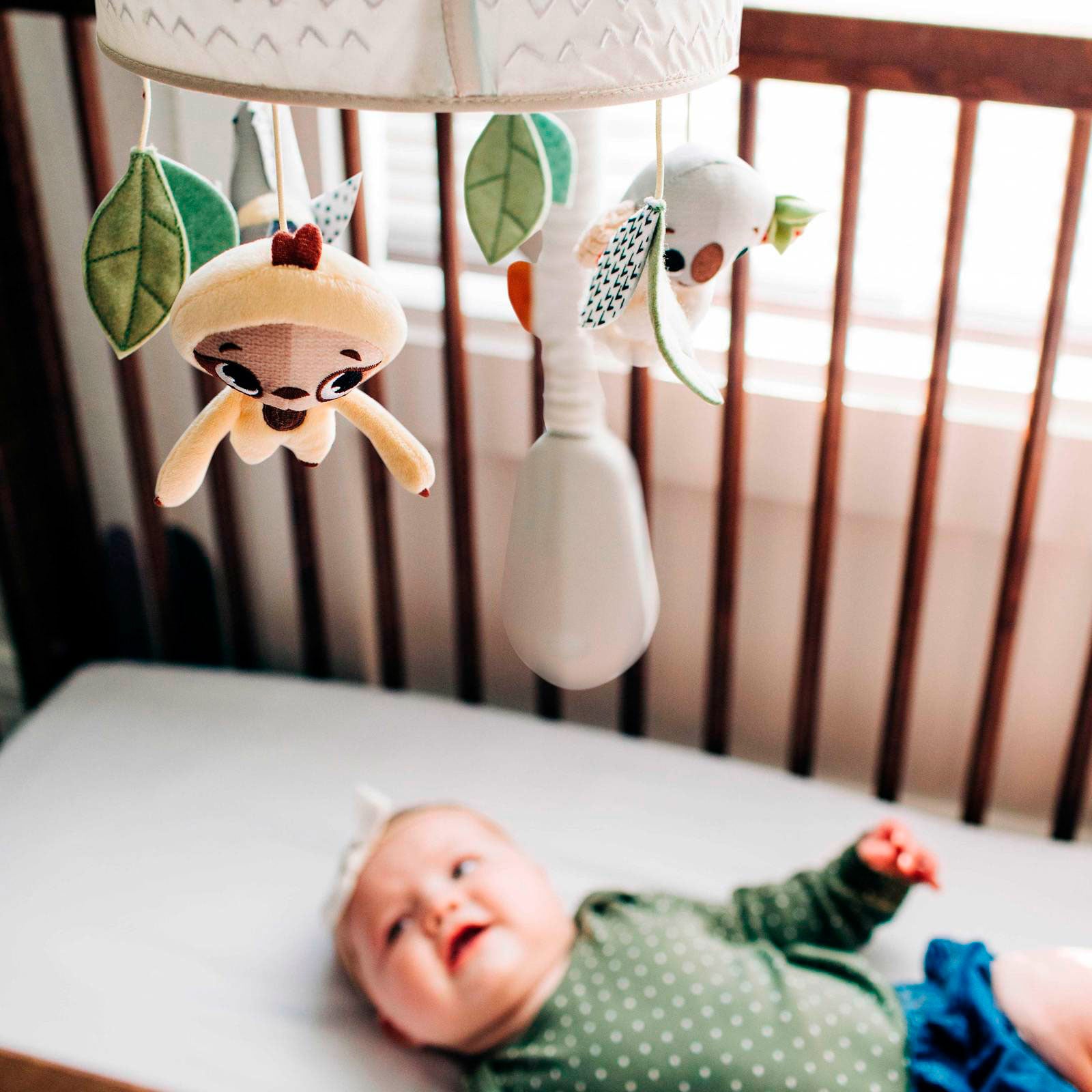 Boho Chic - IMP02266