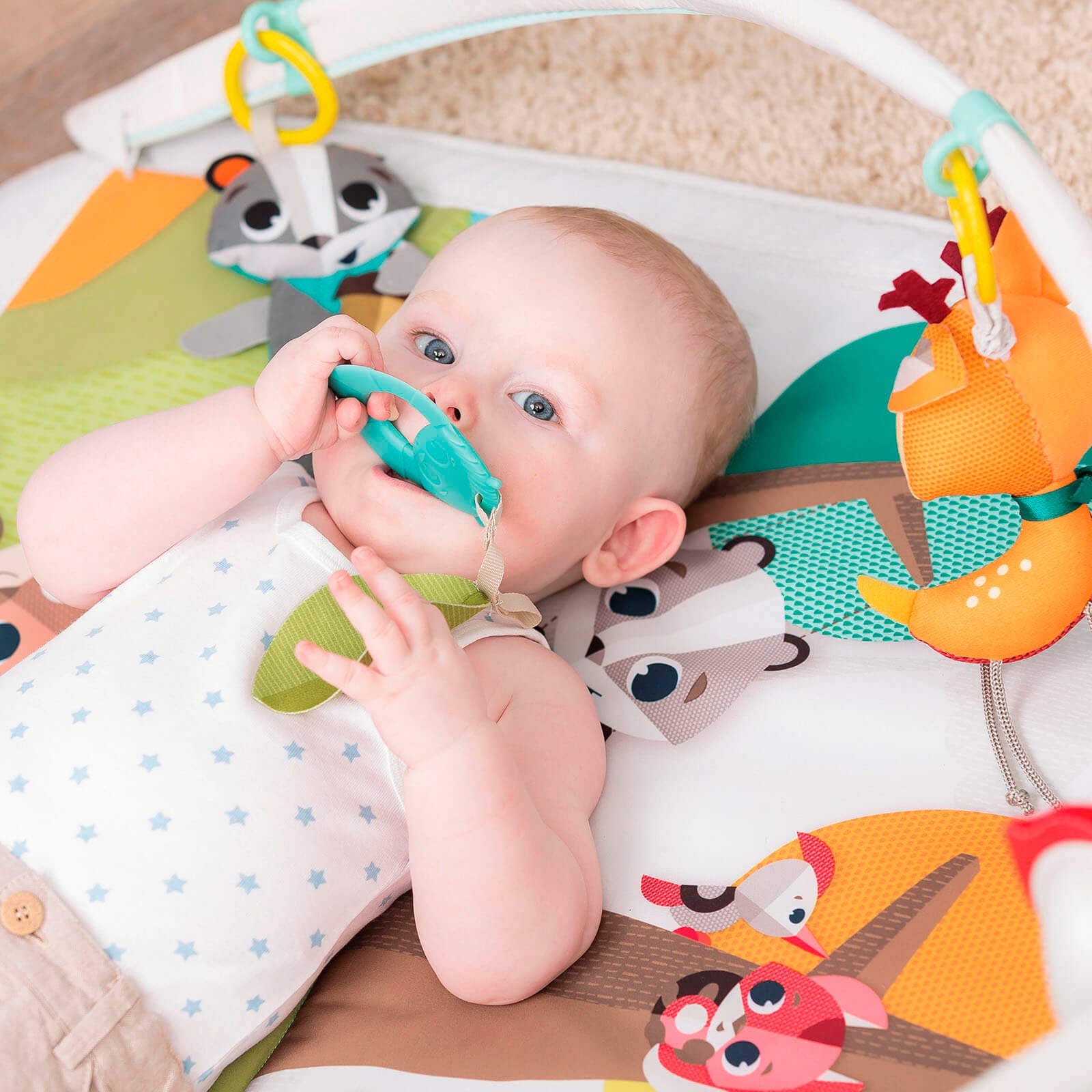 Into The Forest - IMP01564