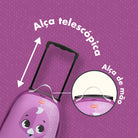 Safari Flamingo - IMP02560