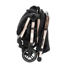 Essential Black Champagne - CAX01069