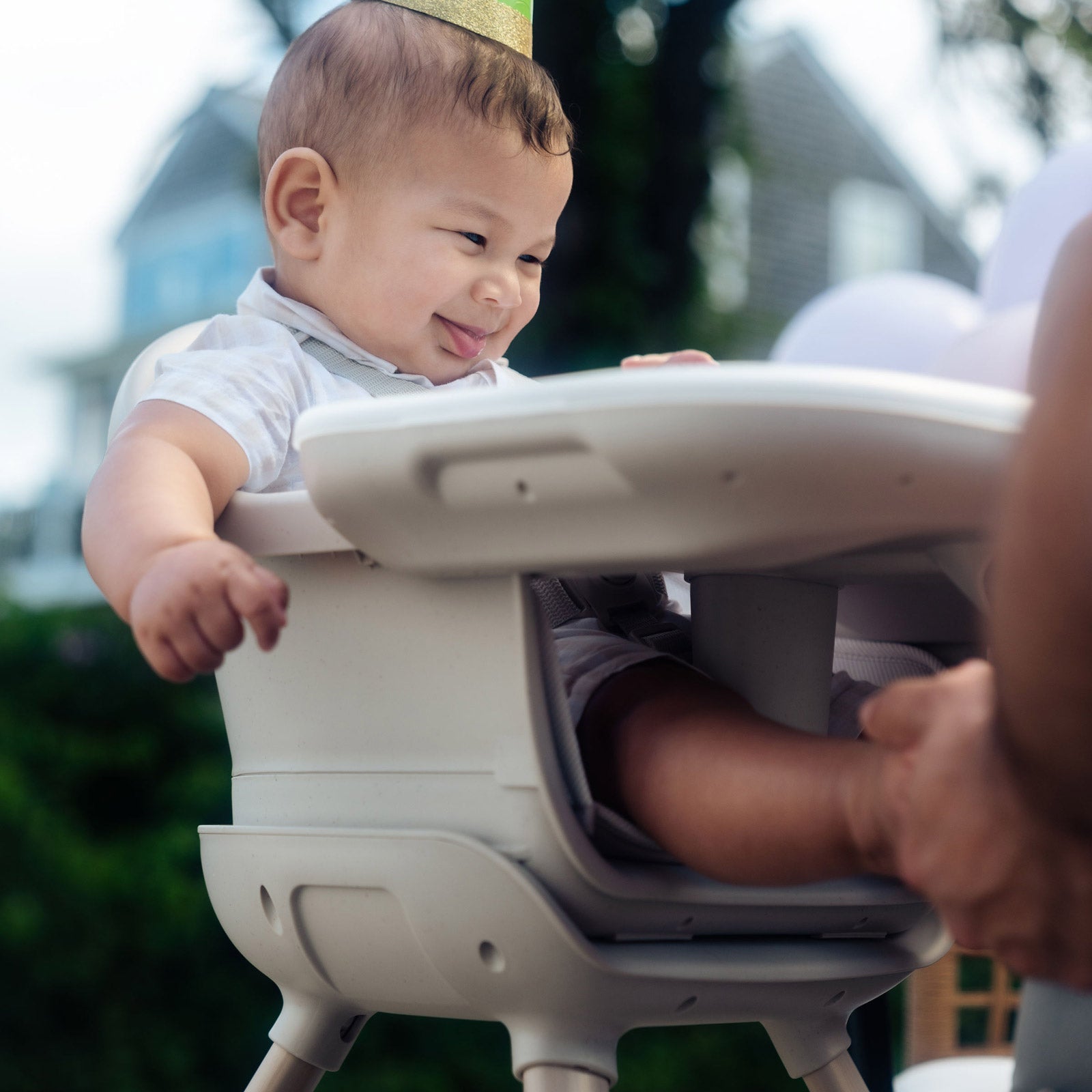 Classic Oat - IMP02484