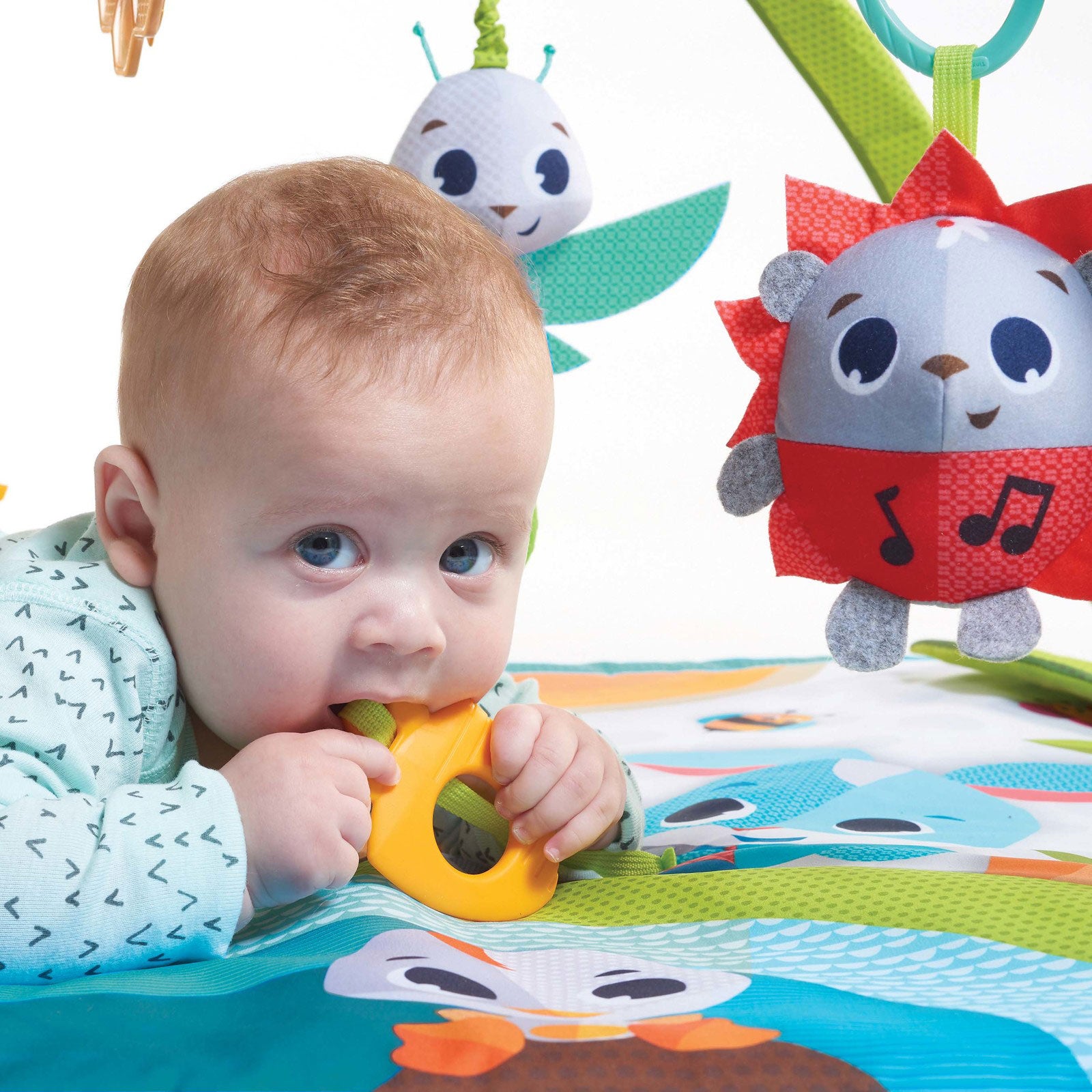 Meadow Days - IMP01805