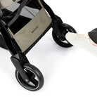 Twillic Truffle - CAX00897