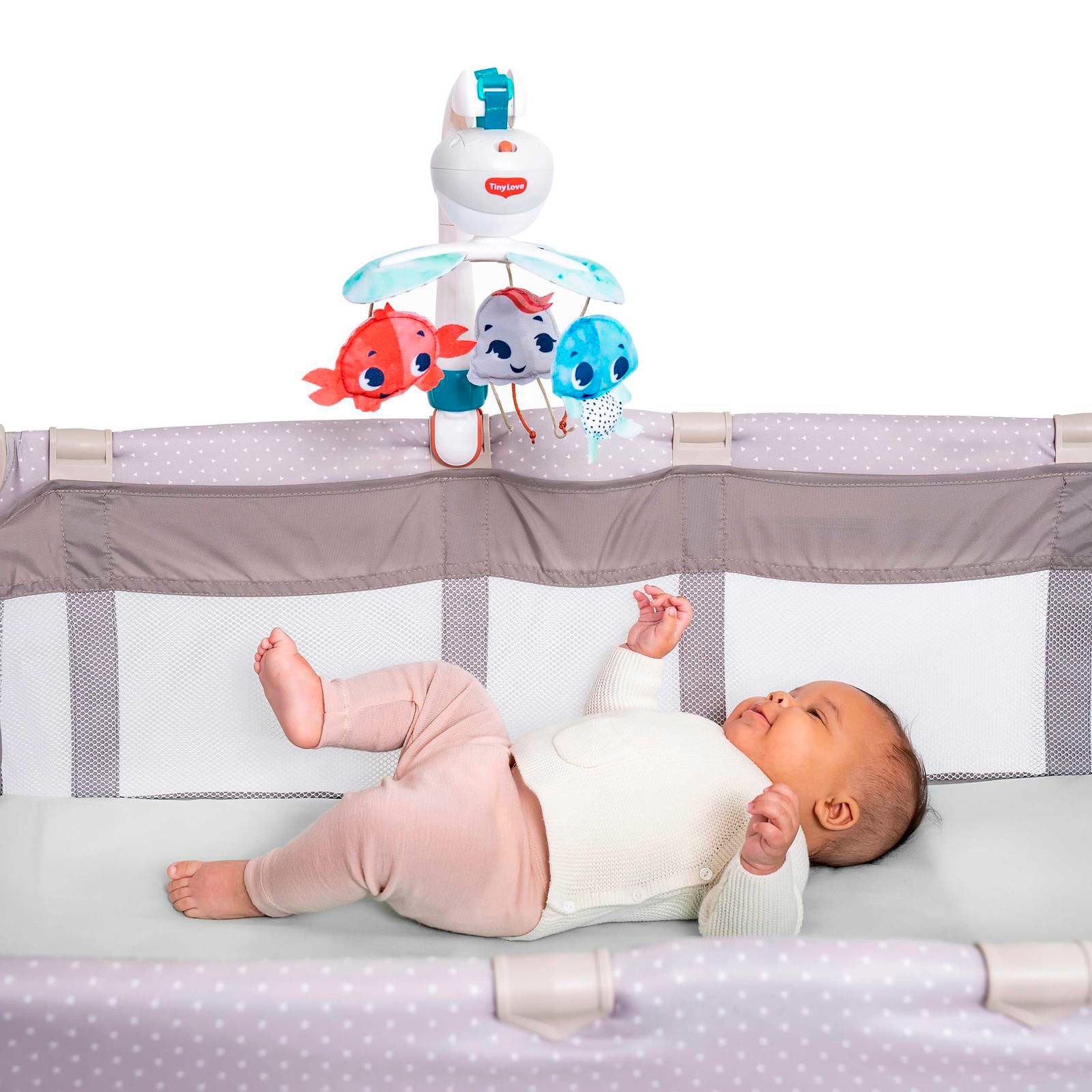 Treasure the Ocean - IMP02263