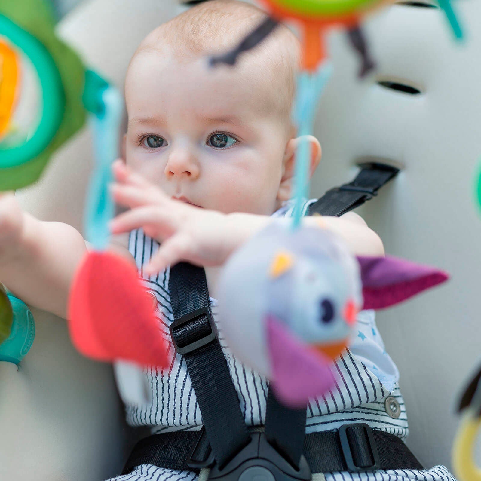 Into The Forest - IMP01644