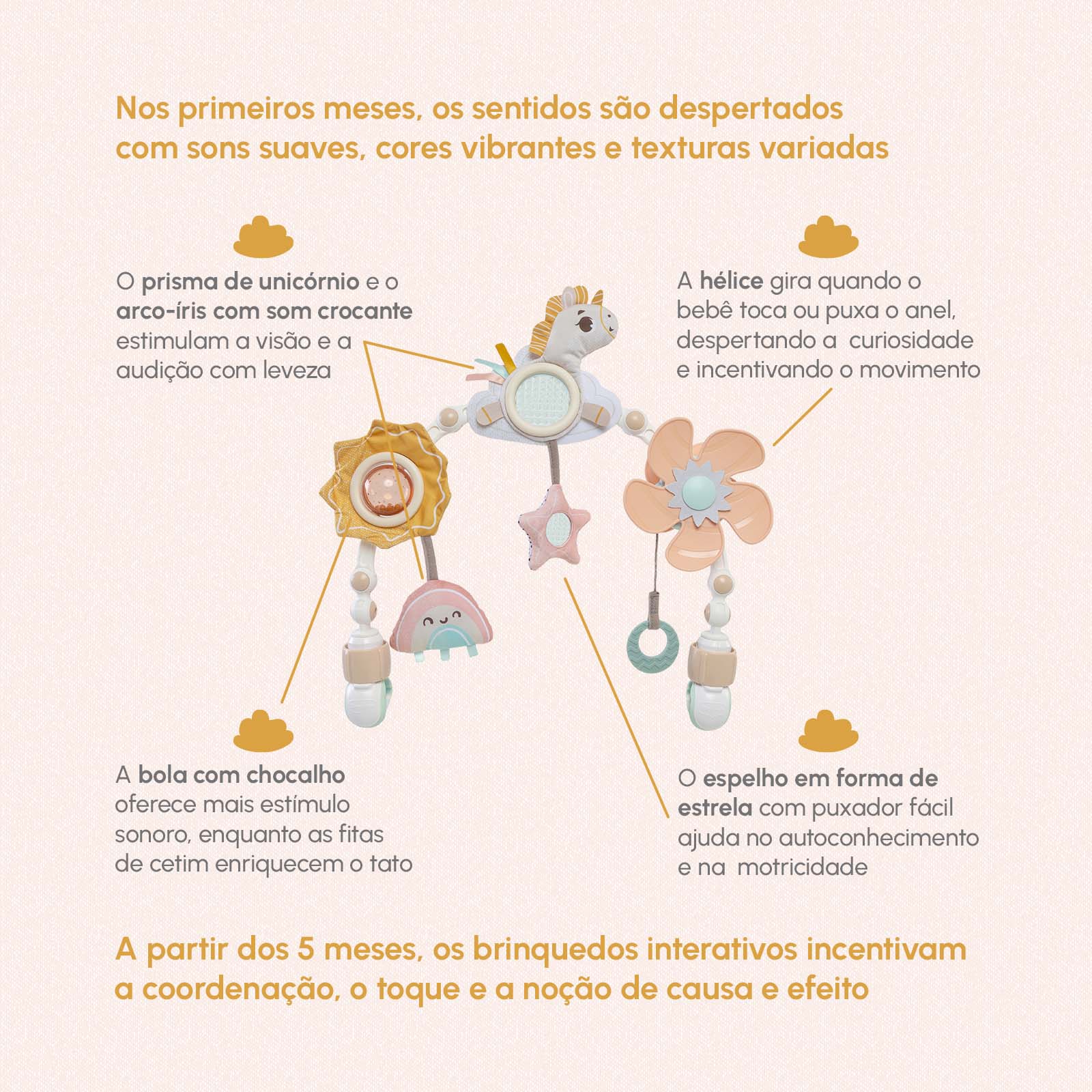 Wonderlands Collection - IMP02688