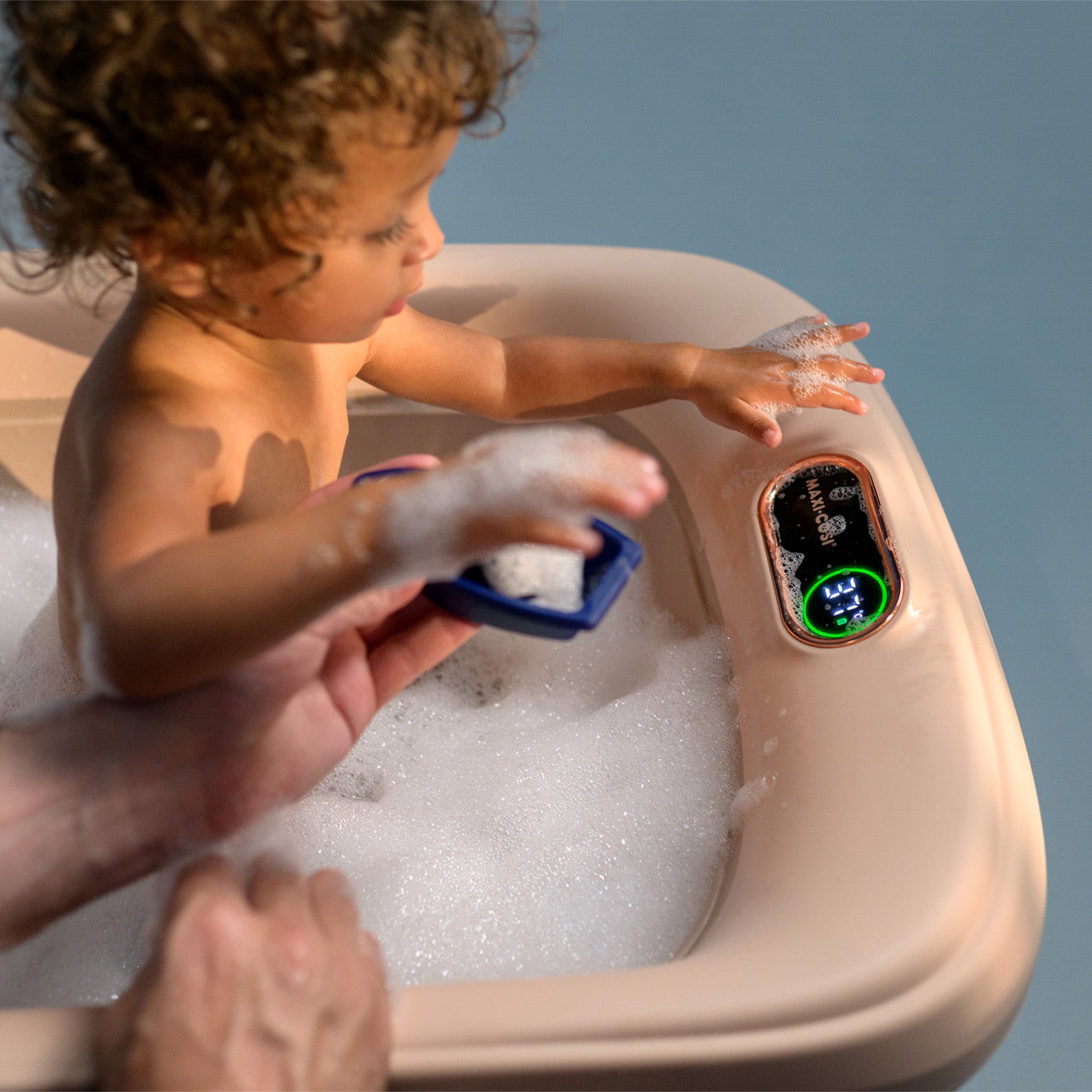 Muted Terra - IMP02750