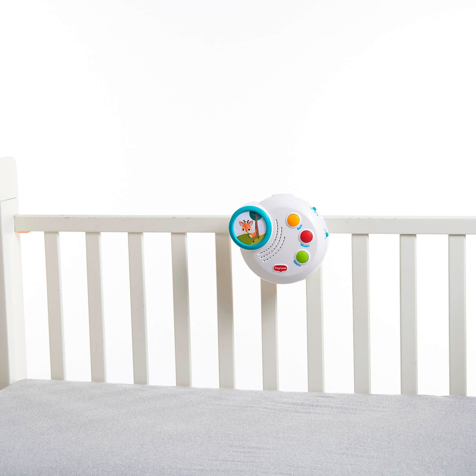 Into The Forest - IMP01596