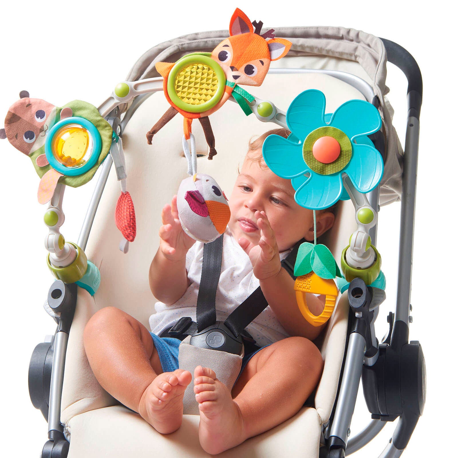 Into The Forest - IMP01644