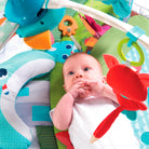 Meadow Days - IMP01562