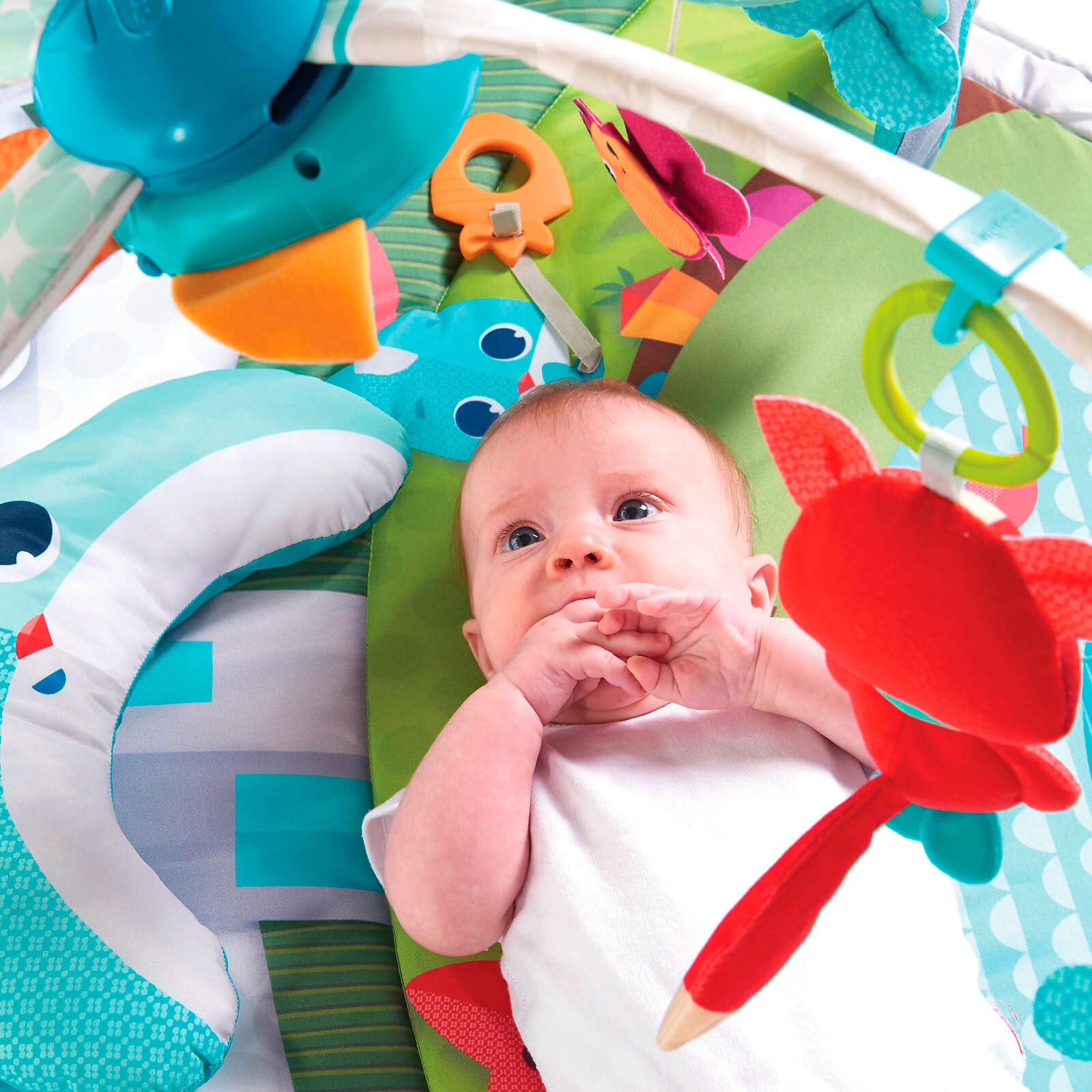 Meadow Days - IMP01562