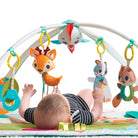 Into The Forest - IMP01564