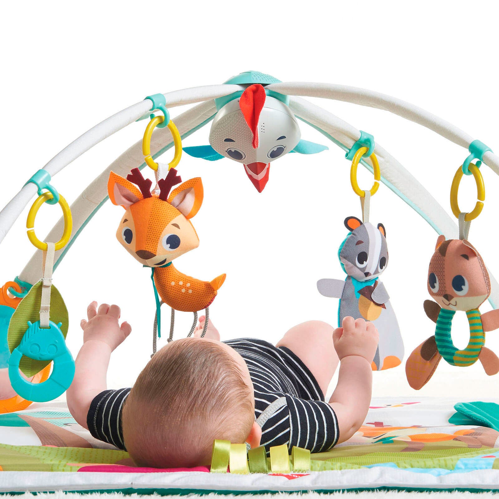 Into The Forest - IMP01564