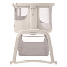 Classic Oat - IMP02485