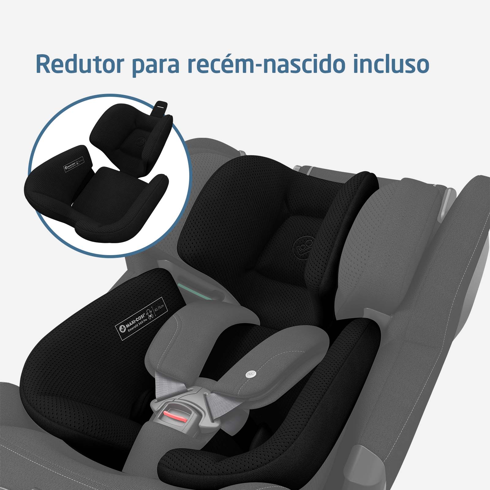 Authentic Black - IMP02655