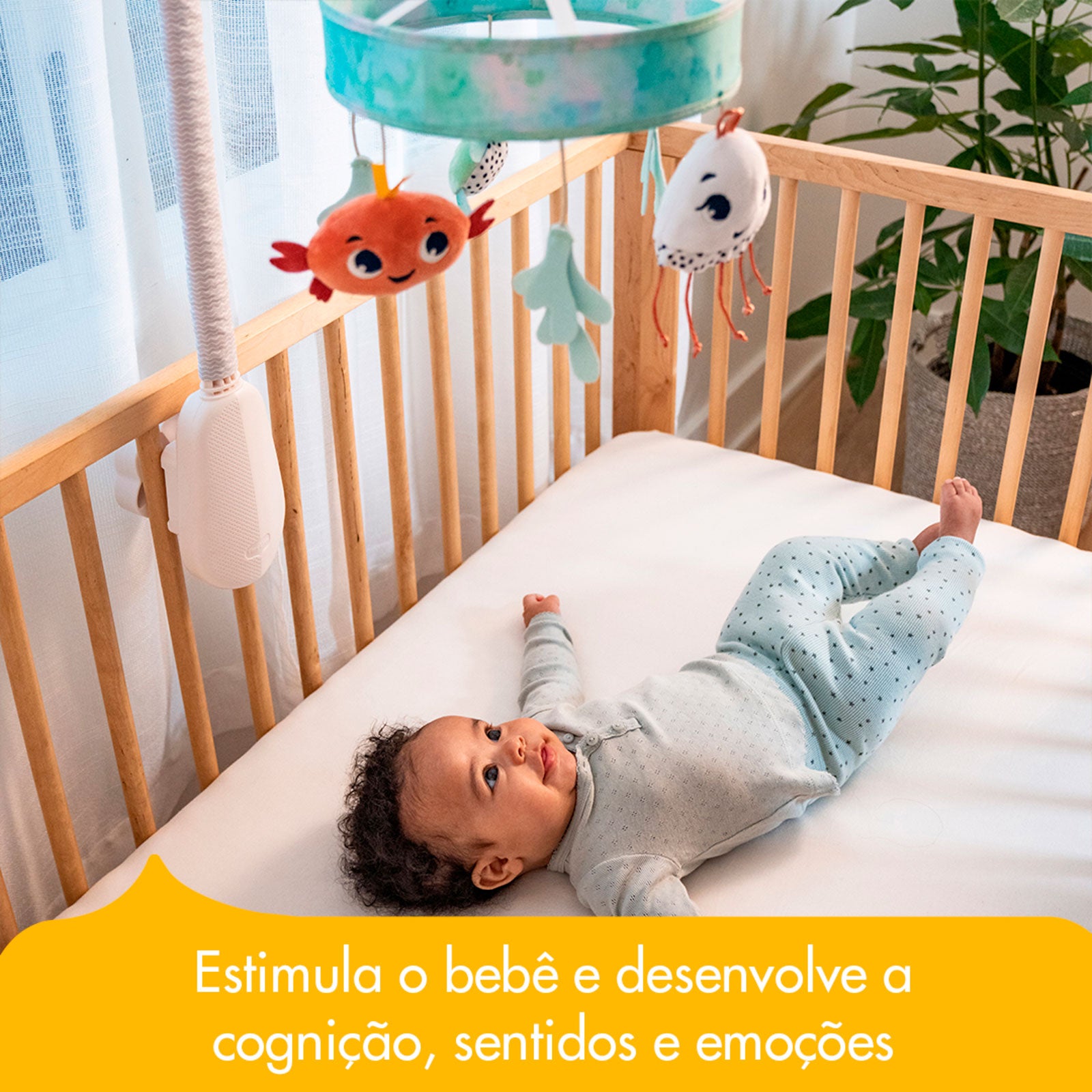 Treasure the Ocean - IMP02278