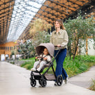 Twillic Truffle - IMP02656