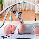 Magical Tales - IMP02007