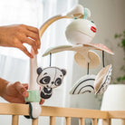 Black & White Decor - IMP02481