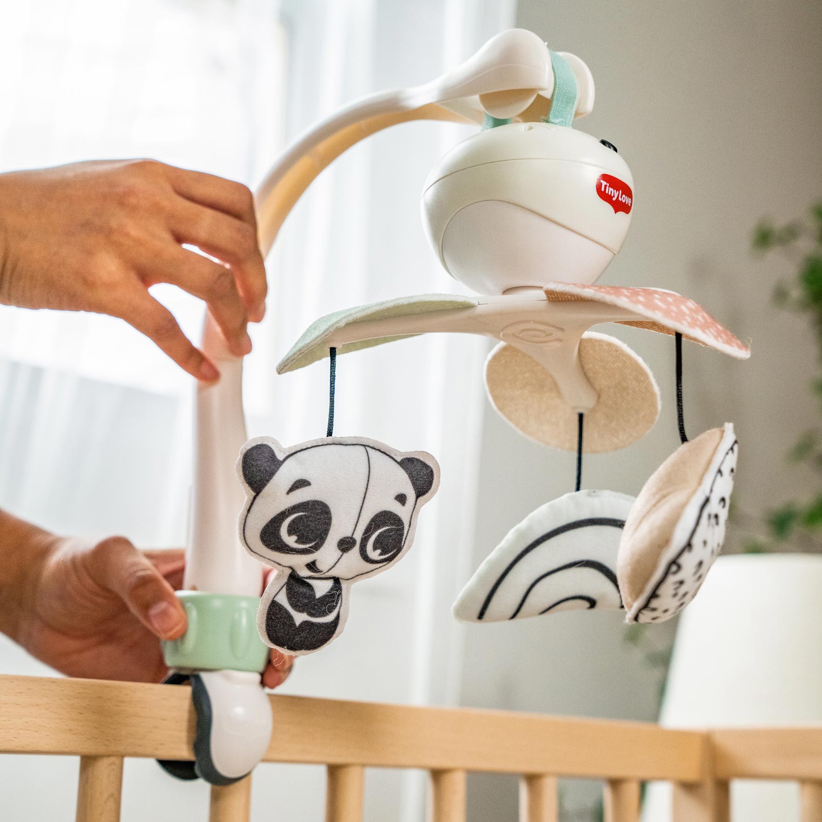 Black & White Decor - IMP02481