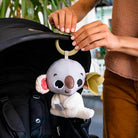 Boho Chic - IMP02317