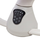 Classic Oat - IMP02488