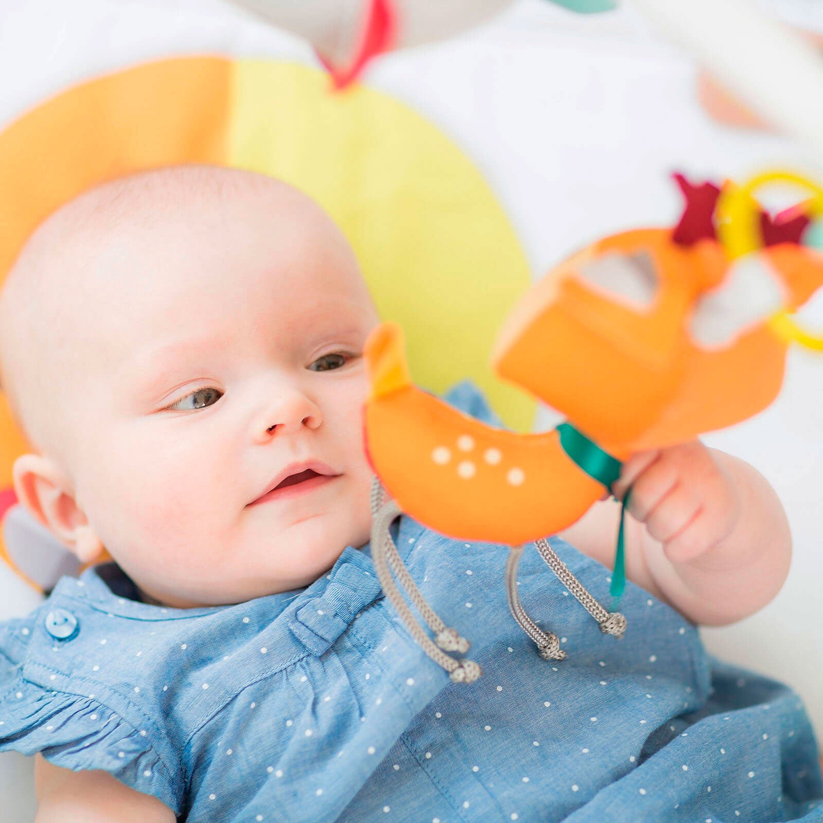 Into The Forest - IMP01564