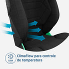 Authentic Black - IMP02496