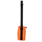 Safari Jaguar - IMP02555