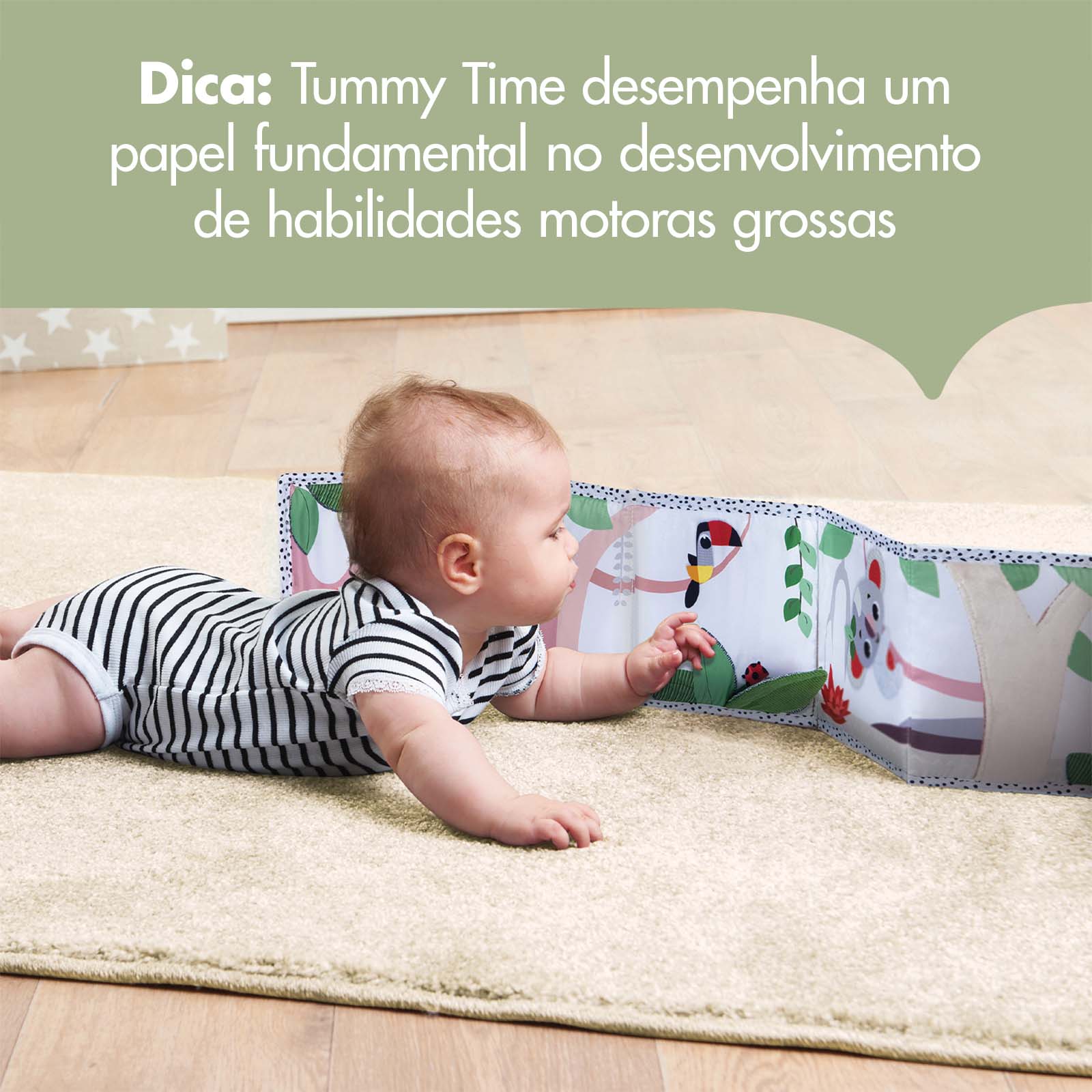 Boho Chic - IMP02483