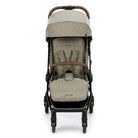 Twillic Truffle - CAX00895