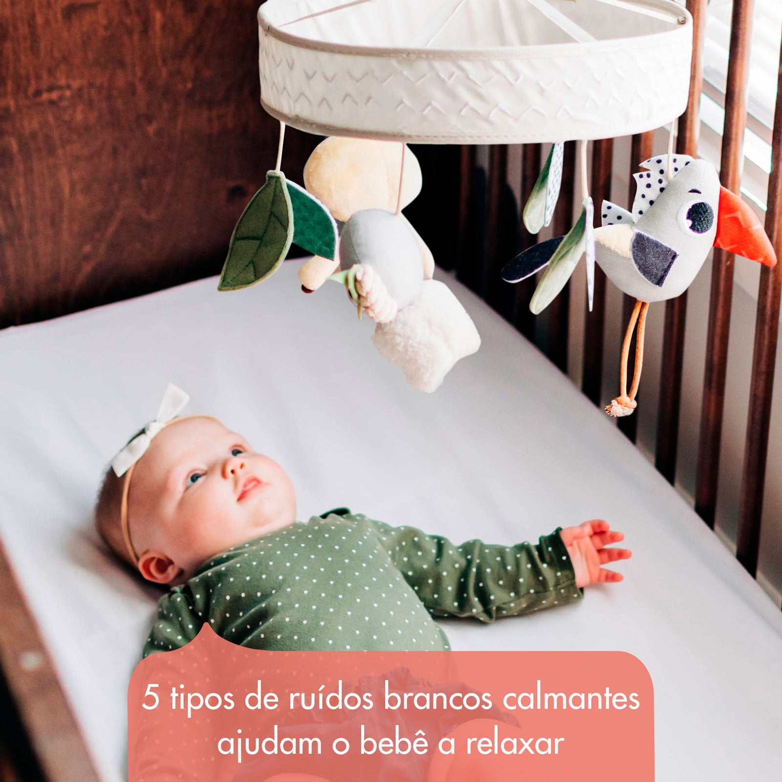 Boho Chic - IMP02266