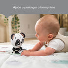 Black & White Decor - IMP02443