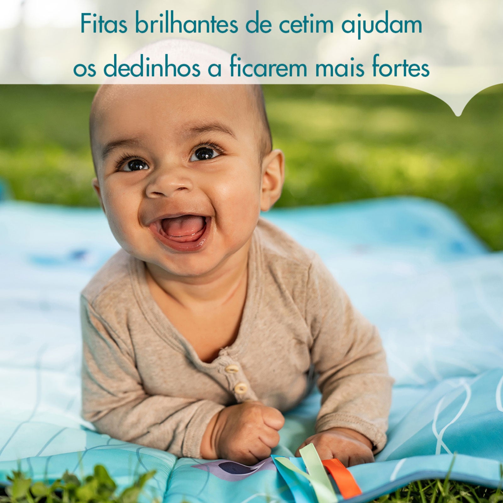 Treasure the Ocean - IMP02316